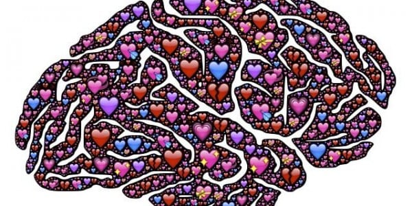 la chimie de l'amour