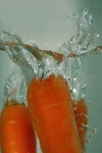 mono diète-carotte