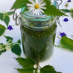 PESTO D'ORTIE